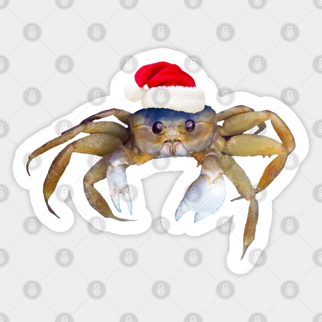 Crabby Christmas Sticker by Astrablink7